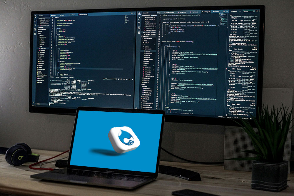 The Ultimate Guide to Drupal Development