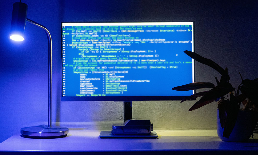 WordPress Plugin Development & Customization